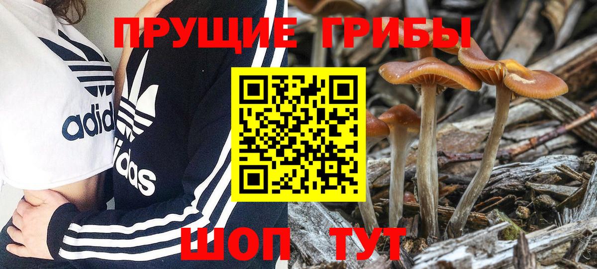Псилоцибиновые грибы ЛСД  Вход с VPN  Серов 