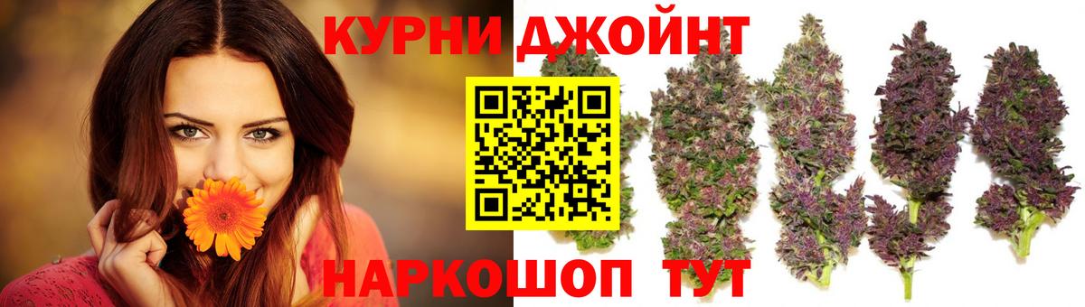 Конопля ГИДРОПОН  Канабис гибрид  Серов  Вход с VPN  Каннабис семена 